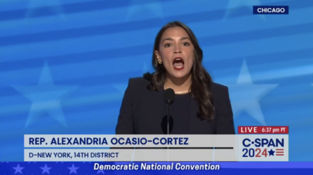 Democrats’ Platform Promises Mass Amnesty, Path to Voting for Illegal Immigrants